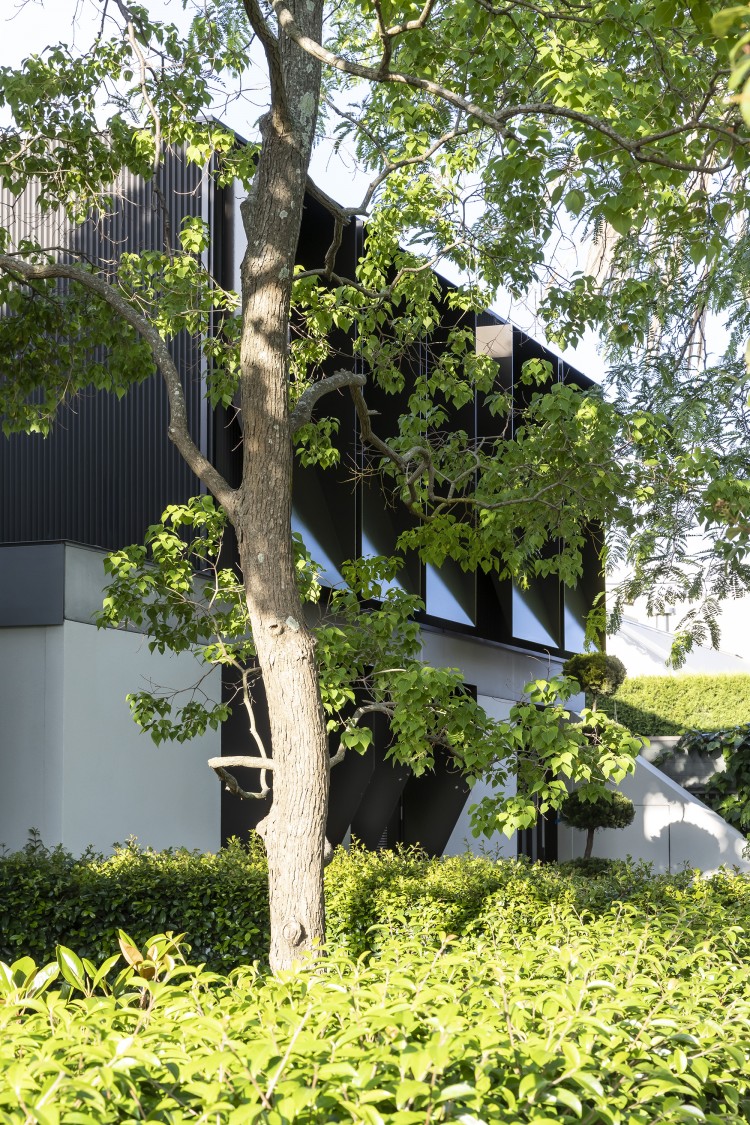 Woollahra Courtyard House